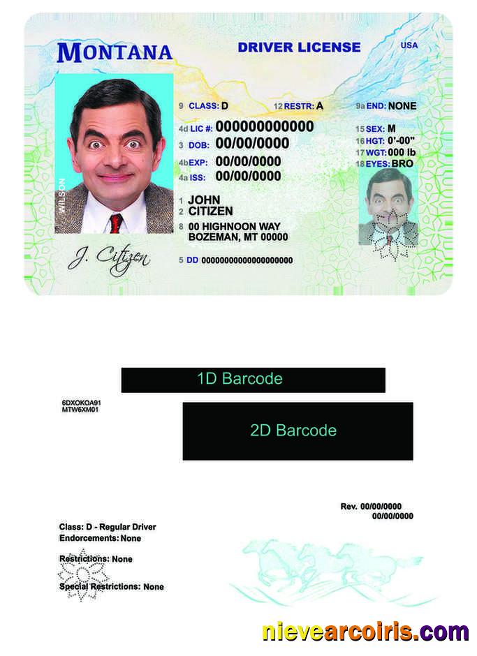 USA Montana driving license